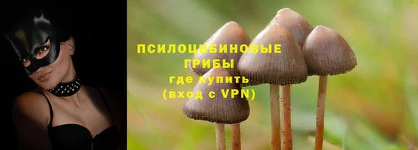 spice Алзамай