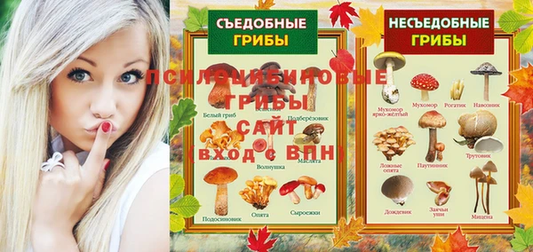 spice Алзамай