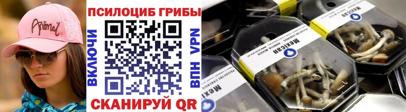 магазин  наркотиков  Чайковский  Галлюциногенные грибы ЛСД 
