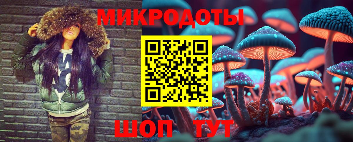 купить наркоту  Вход с VPN  Чайковский  Псилоцибиновые грибы мицелий 